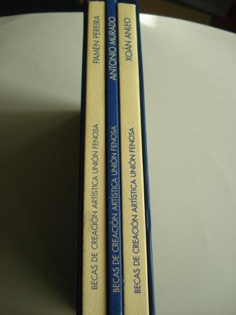 XON ANLEO - ANTONIO MURADO - PAMEN PEREIRA. Becas de Creacin Artstica en el Extranjero UNIN FENOSA. Museo de Arte Contemporneo - A Corua. Estoxo en carton con tres libros-catalgo de Exposicin, A Corua, 1998