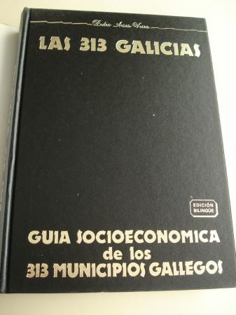 As 313 Galicias. Gua socioeconmica dos 313 concellos galegos. Edicin bilinge galego-castellano