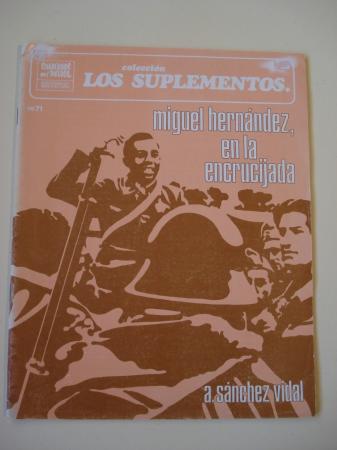Miguel Hernndez, en la encrucijada