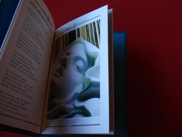 Antologa potica ilustrada. Teresa de Jess