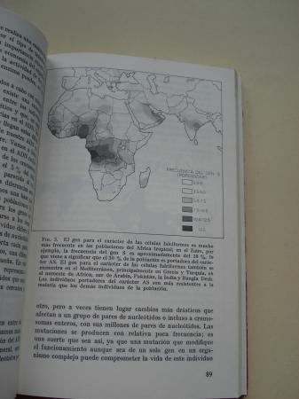 La poblacin humana
