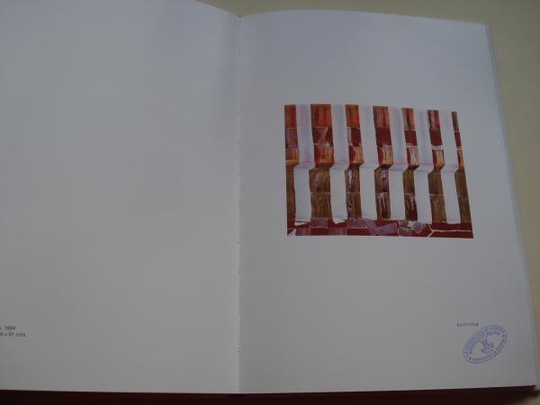 JUAN USLE. `NAMSTE. Catlogo Exposicin Pazo Provincial de Pontevedra, 1994 