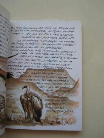 Los buitres. Cuadernos de campo, n 10
