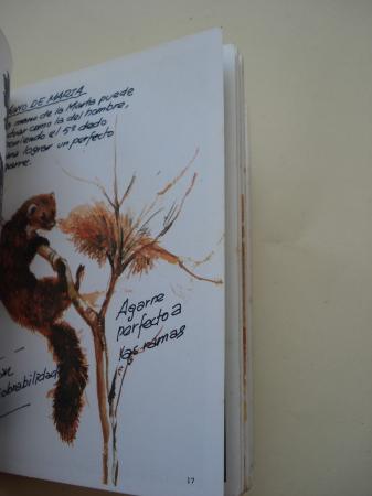 Pequeos carnvoros (I). Cuadernos de campo, n 13
