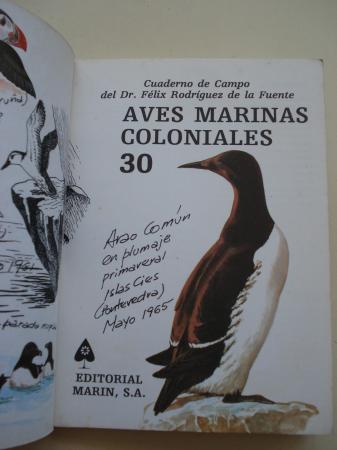 Aves marinas coloniales. Cuadernos de campo, n 30