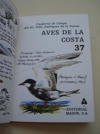 Aves de la costa. Cuadernos de campo, n 37