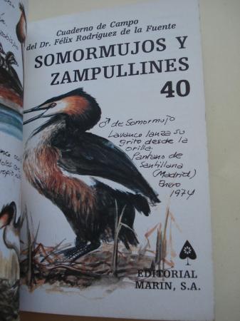 Somormujos y zampullines. Cuadernos de campo, n 40