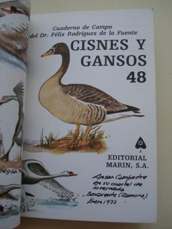 Cisnes y gansos. Cuadernos de campo, n 48