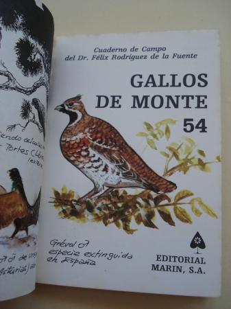 Gallos de monte. Cuadernos de campo, n 54