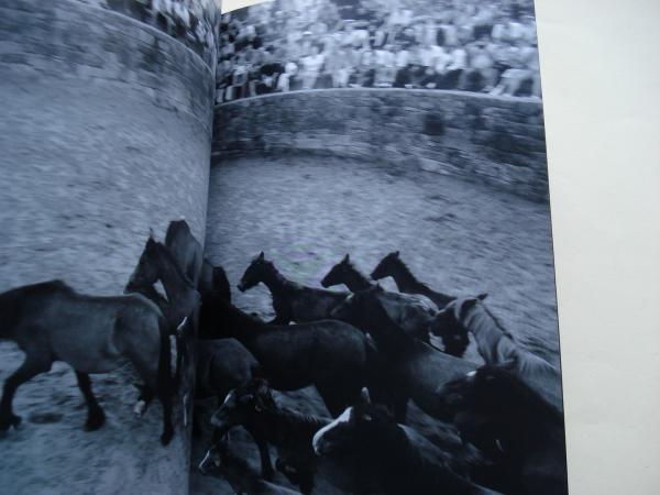 Cabalos de Vento. Curros de Pedra (Fotografas - Pintura)