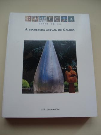 A Escultura Actual de Galicia (Textos en galego - espaol)