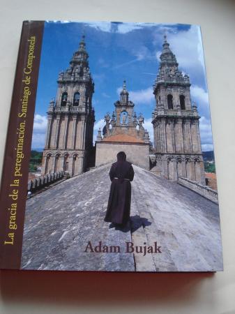 La gracia de la peregrinacin. Santiago de Compostela (Libro de fotografas en color de gran formato)