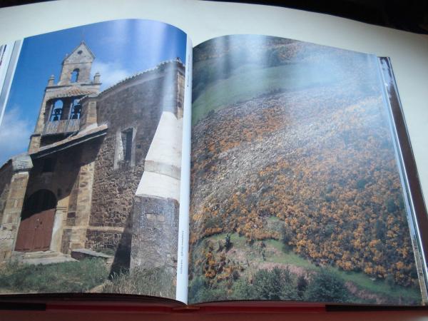 La gracia de la peregrinacin. Santiago de Compostela (Libro de fotografas en color de gran formato)