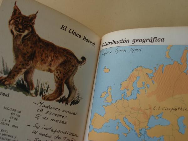 El lince y el gato monts. Cuadernos de Campo n 1