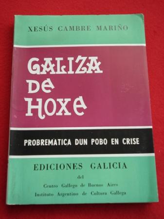 Galiza de hoxe. Probremtica dun pobo en crise