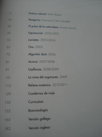 DARO BASSO. Materialeza 1999-2011. Catlogo Exposicin Museo de Pontevedra, 2012