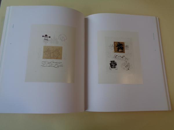 FERNANDO BELLVER. Ciudades. Catlogo Exposicin Caja Duero, Salamanca, 2007