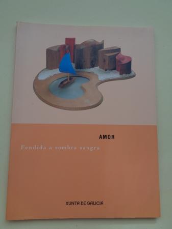 JOS ANTONIO FERNNDEZ AMOR. Fendida a sombra sangra. Catlogo Exposicin, Galicia 2004