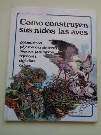 Cmo construyen sus nidos las aves