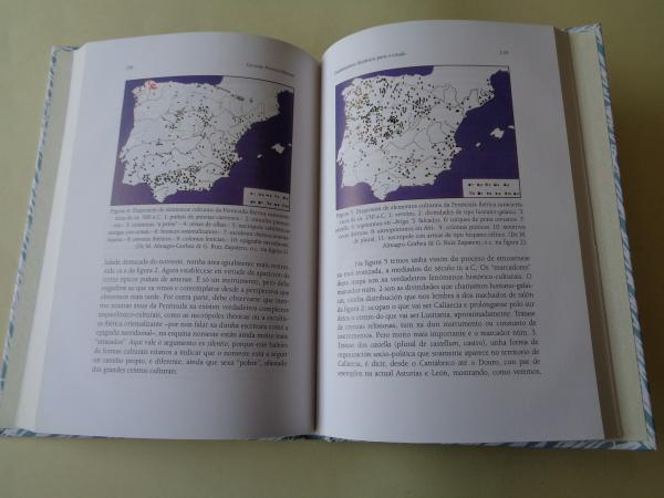 Xentica e Historia no noroeste peninsular. UNha prespectiva interdisciplinaria. Actas das Xornadas, Santiago de Compostela, 2002