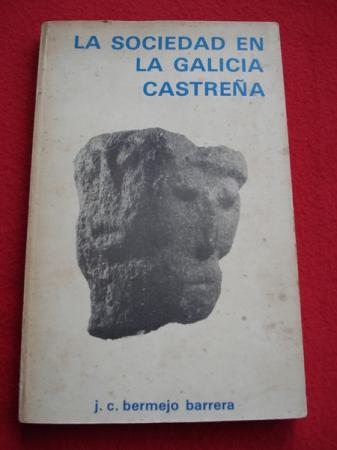 La sociedad en la Galicia castrea