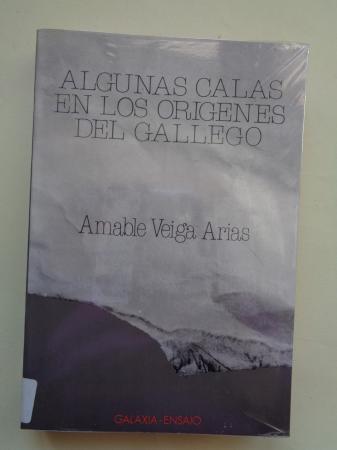 Algunas calas en los orgenes del gallego