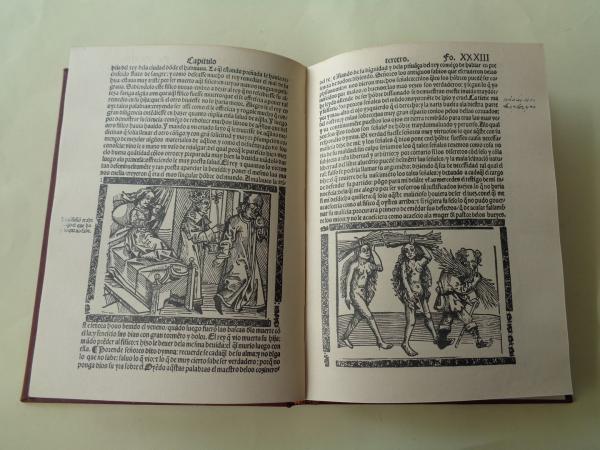 Ejemplario contra los engaos y peligros del mundo (Facsmil del publicado en el ao 1531)