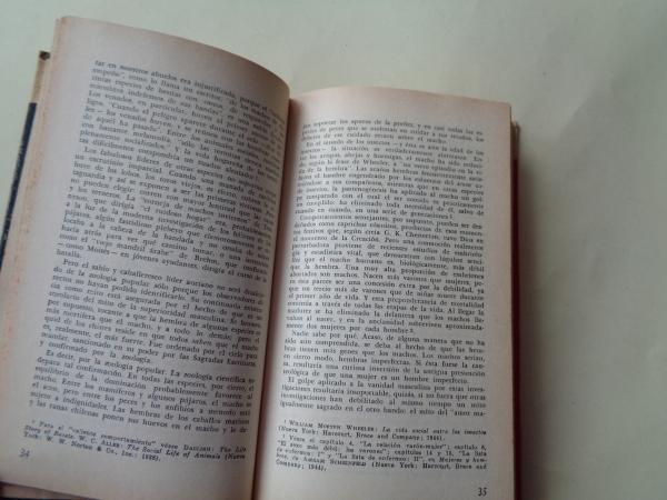 Historia natural del disparate