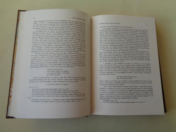 Actas do Congreso internacional de estudios sobre Rosala de Castro e o seu tempo. Tomo III. Santiago de Compostela, 1985