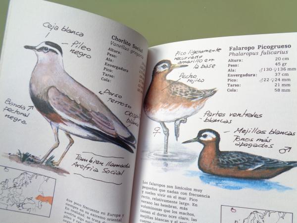 Aves viejaras (II). Cuadernos de campo del Dr. Flix Rodrguez de la Fuente, n 46