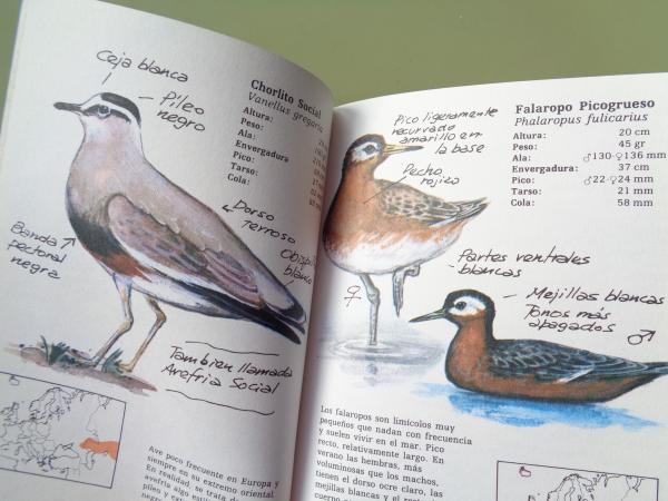 Aves viajeras (II). Cuadernos de campo del Dr. Flix Rodrguez de la Fuente, n 46