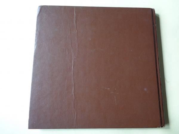Buena Vista, a pictorial view of Kern County