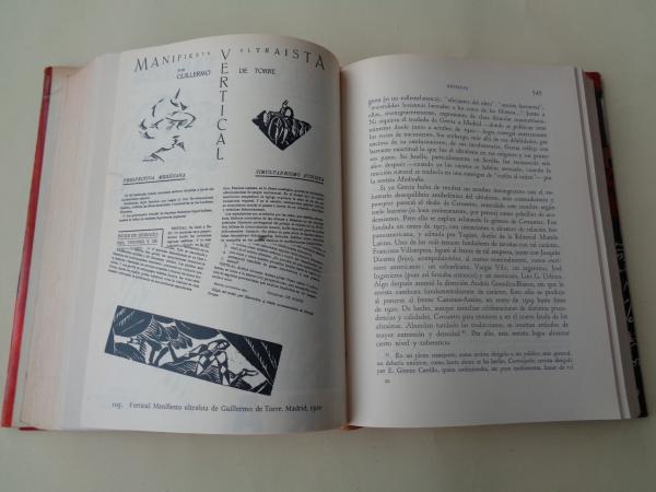 Historia de las literaturas de vanguardia