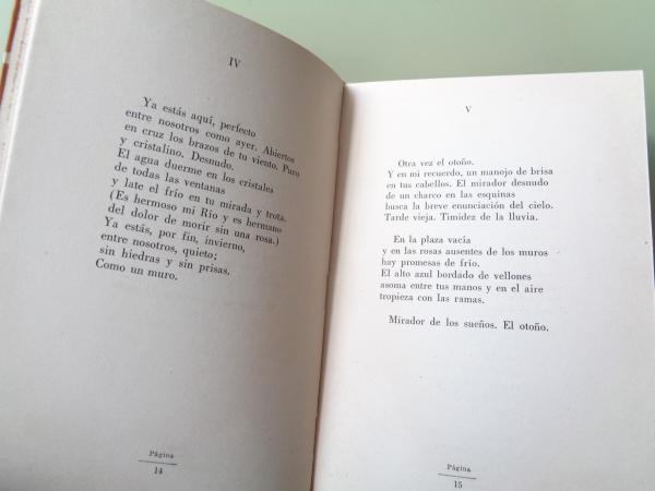 Poemas para la infancia del hombre