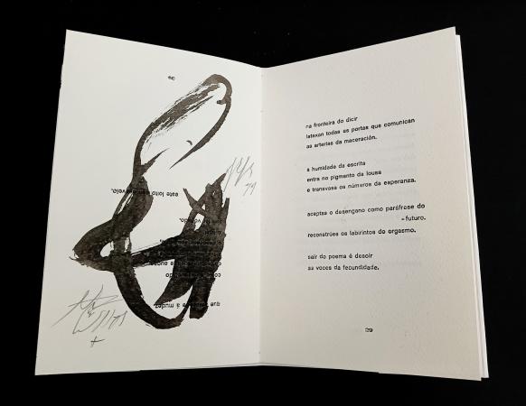 MONÓLOGO DO CALÍGRAFO, 2022 Libro de artista, exemplar único