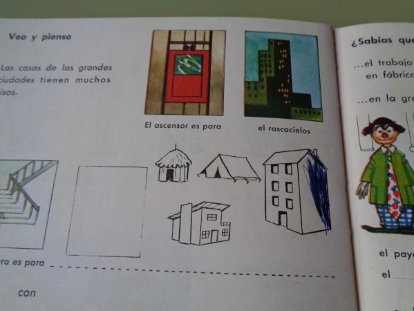 Mi libro (Actividades ldicas para el prvulo de 5-6 aos)