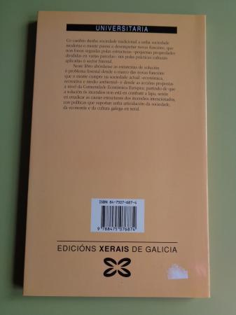 Os incendios forestais. Anlise sociolxica do sector forestal galego