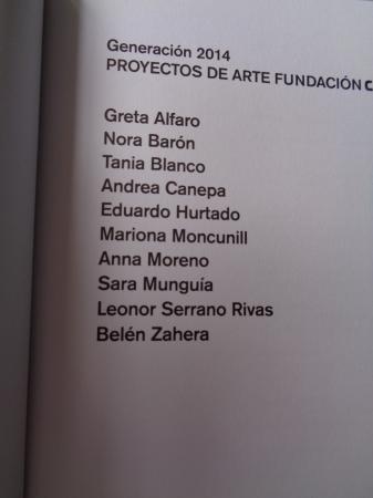 Generacin 2014. Proyectos de Arte Fundacin Caja Madrid