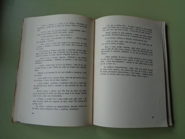 Berganti (Novela galega)