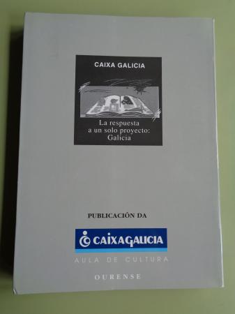 Temas ourensns. Escolma de traballos de investigacin referidos a Ourense a as sas terras (Textos en casteln e galego)