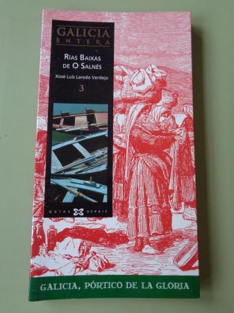 Galicia entera. Vol. 3: Ras Baixas de O Salns (Texto en castellano)