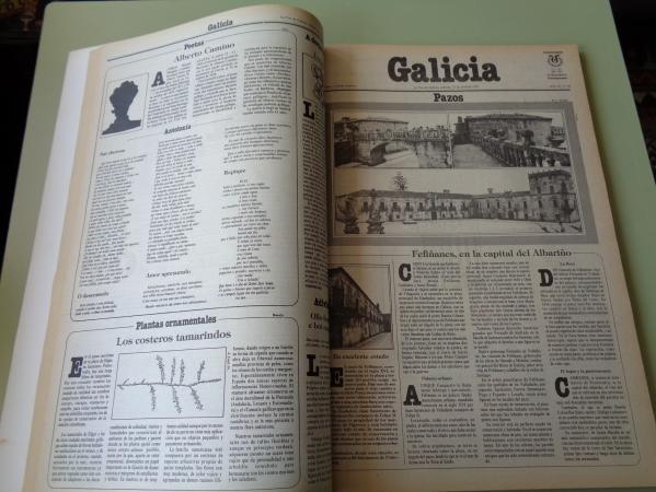 GALICIA PAZOS: 19 SUPLEMENTOS + CUADERNO DE CULTURA: 22 SUPLEMENTOS. La Voz de Galicia, 1984-1985
