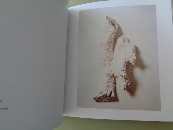 FERNANDO CASS. Selvagen. Catlogo Exposicin Galeria SCQ, Santiago de Compostela, 1999-2000