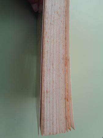 Aproximacin sociolgica al carlismo gallego