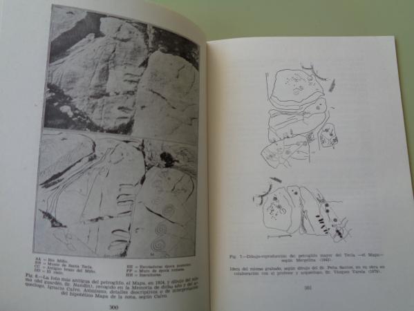 Manifestaciones rupestres en el monte de Santa Tecla. Riqueza Arqueolgica en el Museo y poblado Castreo de Santa Tecla - La Guardia. Nm. 1