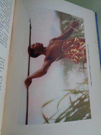 Brujeras / Novelistas espaoles / Ferias y atracciones / Guinea