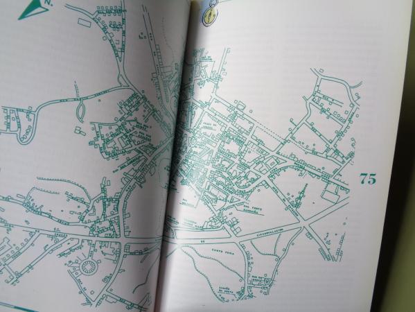 Terras do Deza. Agolada. Dozn. Laln. Rodeiro. Silleda. Vila de Cruces. Comarcas