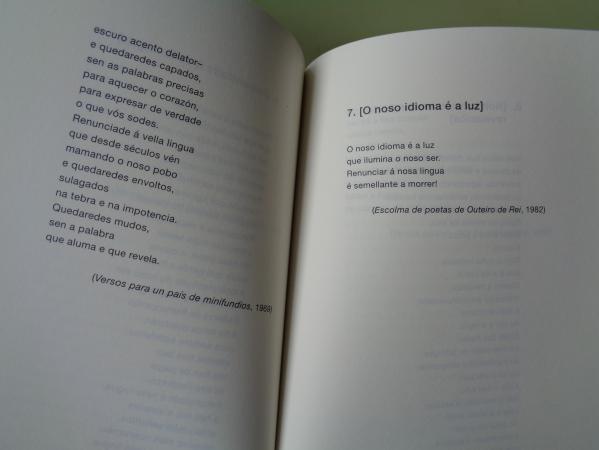 A esencia mis nosa. Poemas sobre a Lingua Galega