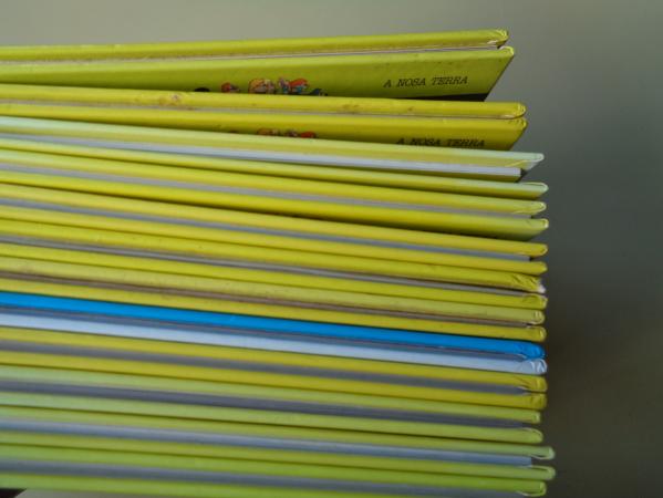 12 libros OS BOLECHAS VAN DE VIAXE 