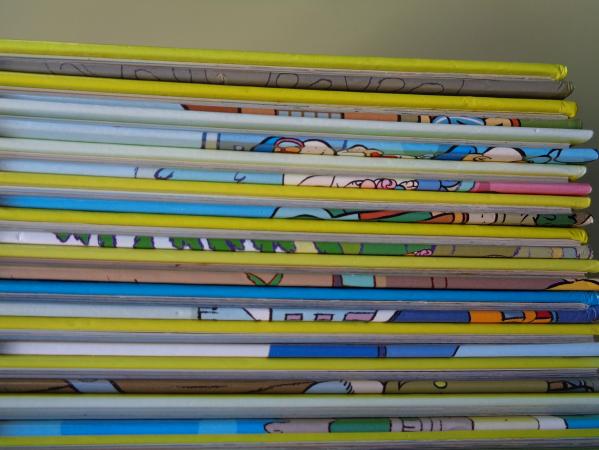 12 libros OS BOLECHAS VAN DE VIAXE 